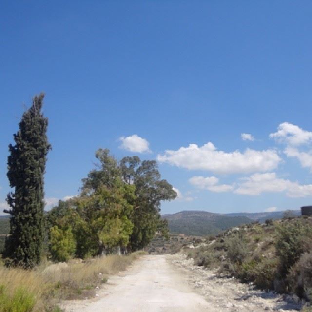 Un seul chemin sur la terre a  reussi à me plaire , celui qu"ensemble on suivait.... nofilter bluesky naturecloudtrees