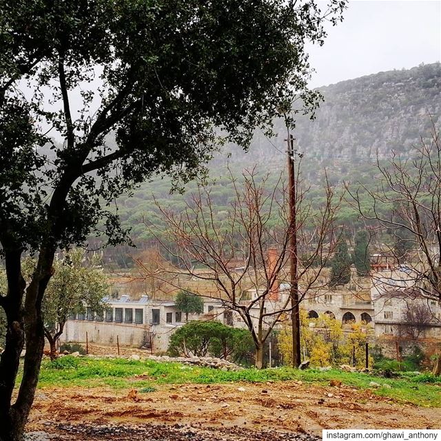 Under the rain drops☔💚_______________________________ rainy  nature ... (Al Knaysah, Mont-Liban, Lebanon)