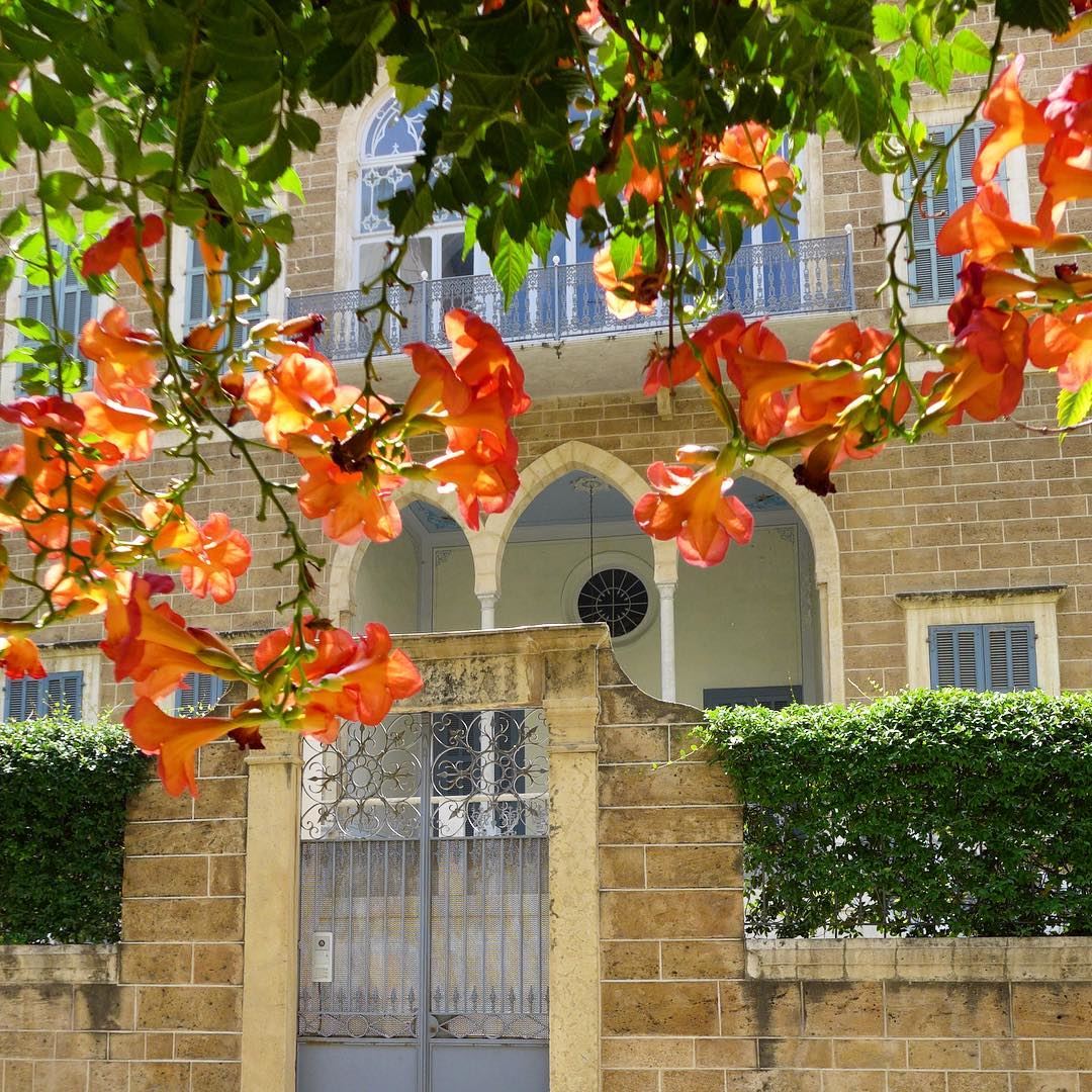 Under the shades of trumpet bell tree 🎺🌺 flowers  orangeflowers ... (Achrafieh, Lebanon)