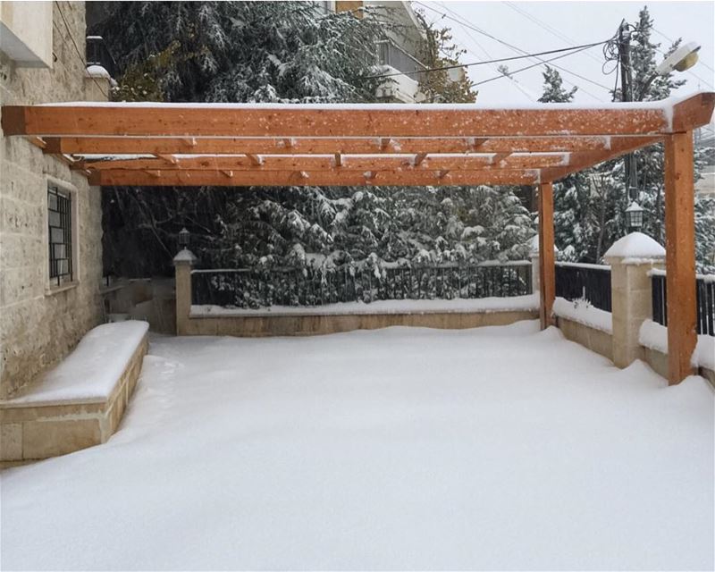 Under the Storm❄️  pergolakitslebanon will face it All! Pergola  Cedars ... (Bsharri, Lebanon)