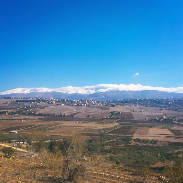 Une petite palette de couleurs 🌳❄️🌾...d'espérance, de sincérité et de... (El Qlaïaâ, Al Janub, Lebanon)