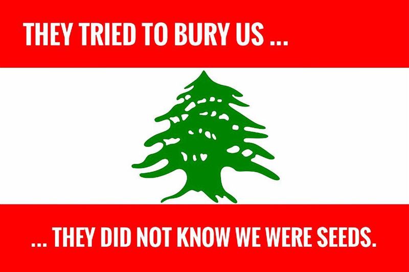 UNITED WE STAND 🇱🇧  freemypm  onelebanon  lebanon🇱🇧🇱🇧🇱🇧🇱🇧🇱🇧❤️❤