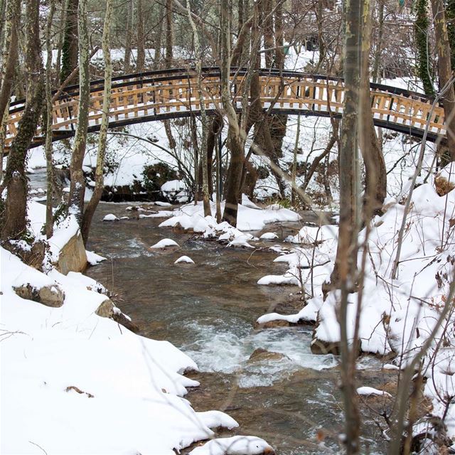 Until you cross the bridge of your insecurities, you can't begin to... (Tannurin At Tahta, Liban-Nord, Lebanon)