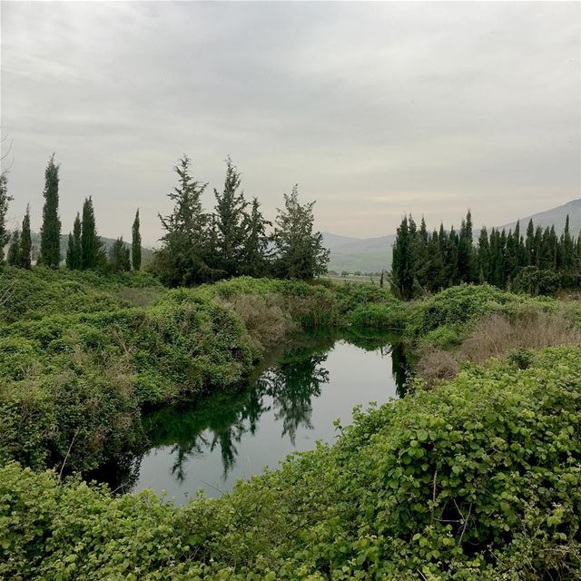 Untouched beautiful_lebanon  livelovelebanon  lebanonspotlights ... (Kafarrouman)