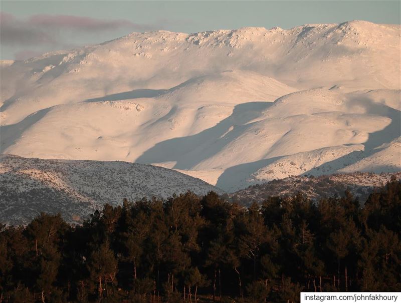 Untouched... (Marjayoûn, Al Janub, Lebanon)