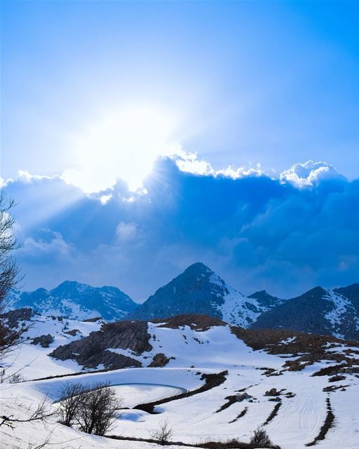 Up there ⛰🗻 ... (Tannourine Cedars Nature Reserve)