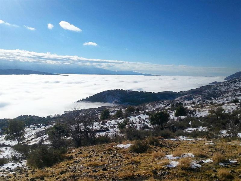 Up & Up 🌤  westbekaa  saghbine  hometown  lebanon  bekaa  bekaavalley ... (Saghbin, Béqaa, Lebanon)