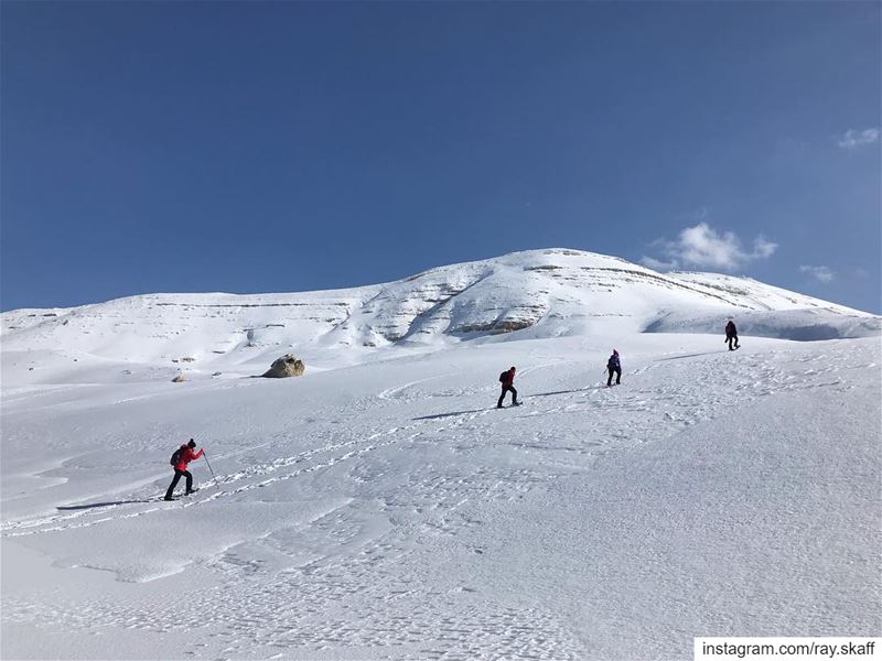 Up we climb‼️.... ............... lebanon  nature ... (Up the Mountain)