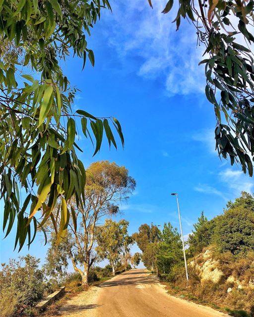 Uphill 🌿....... Lebanon  Beirut  Liban  LiveLoveLebanon ... (Adma, Mont-Liban, Lebanon)