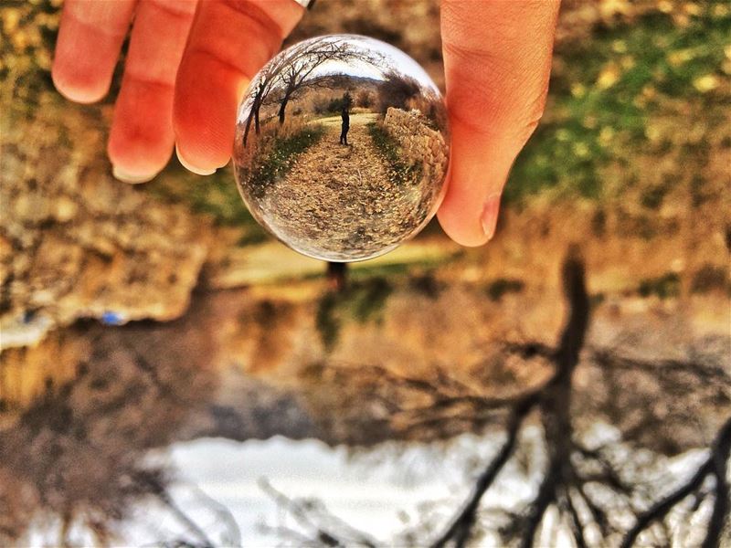 Upside down👌🏻 upsidedown  autumn  nature  livelovebeirut ...