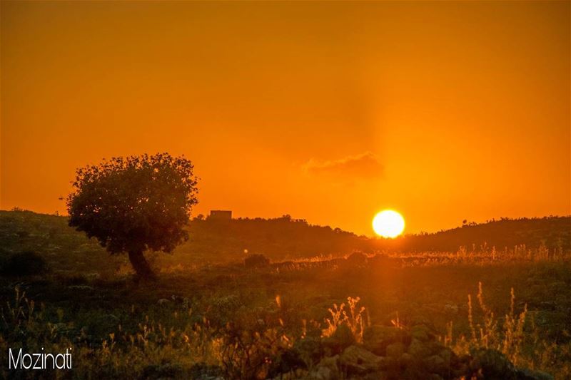 Ur Light Will Shine When All Else Fades... 👌😉_-_-_-_--_-_-_-_-_-_-_-_-_- (Roumine)