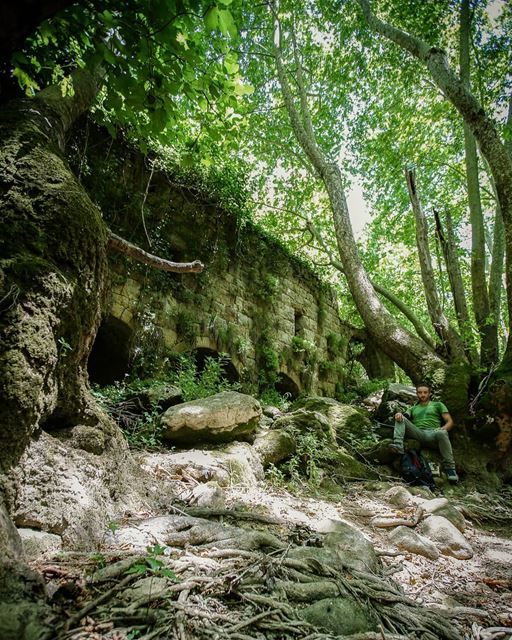 Usually Mokhtara hiking trail is an easy one, but not today ...I wanted... (El-Mukhtarah, Mont-Liban, Lebanon)