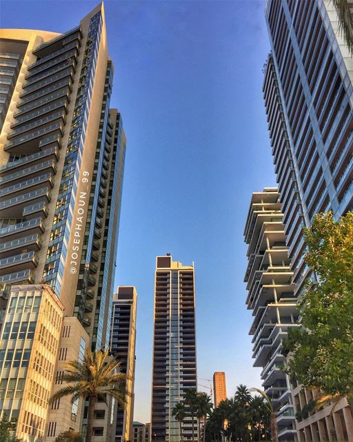 V E R T I C A L I T Y 🏙 (Zaitunay Bay)