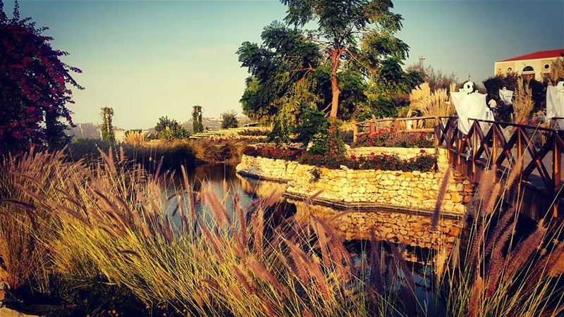 VACAY🌴 arnaoonvillage  precelebration  whatsaplebanon  livelovelebanon ... (Arnaoon Village)