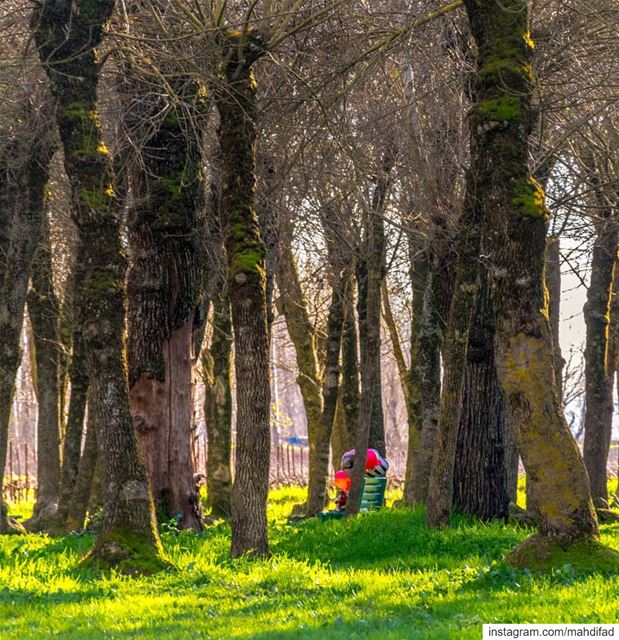 ❤💚❤...... Valentine Nature Lebanon Bekaa pysglb sunny day... (Deïr Taanâyel, Béqaa, Lebanon)