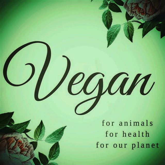 🌱Vegan for Life🖖🌱...............🌱🌱🌱🌱🌱🌱🌱🌱🌱🌱🌱🌱 (Germany)