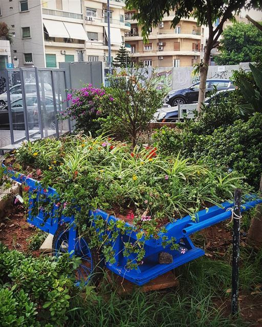 Vending colors of life🌿... breathlife beirut ... ........ . .... (Beirut, Lebanon)