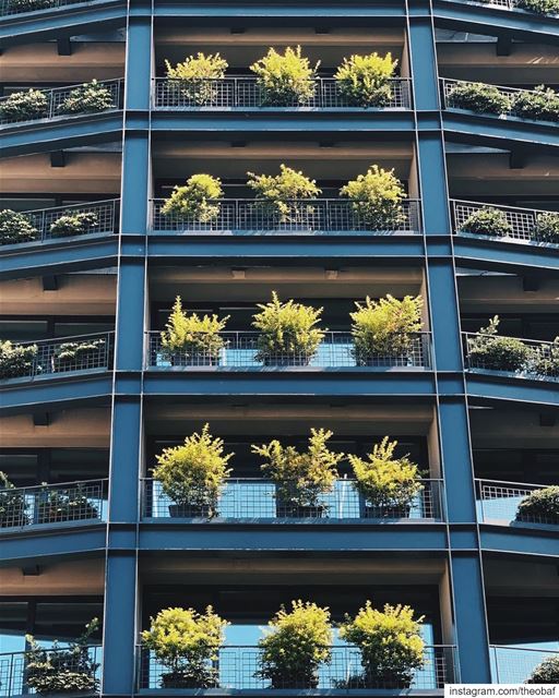 Vertical gardens ........ lebanon  architecture ... (Clemenceau zone)