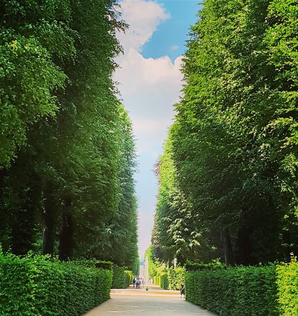 Very attractive perspective is.n't ? gemrmany🇩🇪  greenery garden castle... (Schloss Sanssouci)