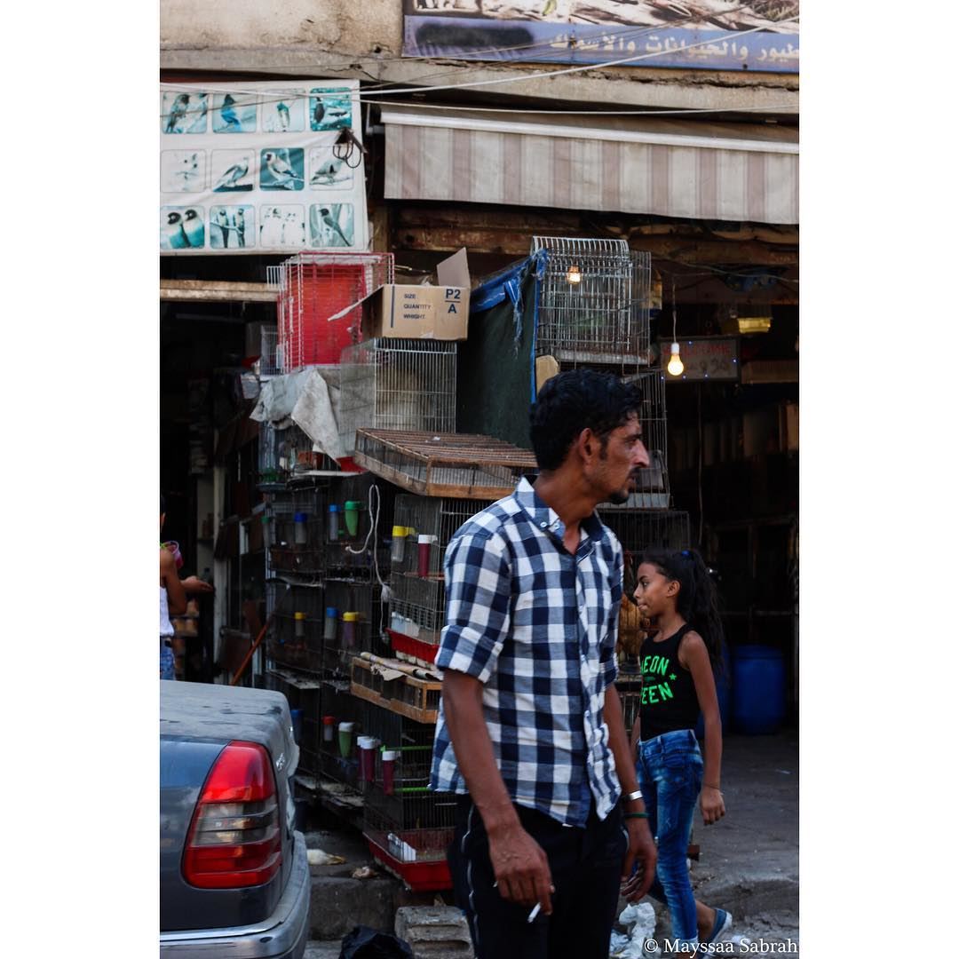"Vibrant chaos, Lebanon"  streetphotography  canon  canonME ...