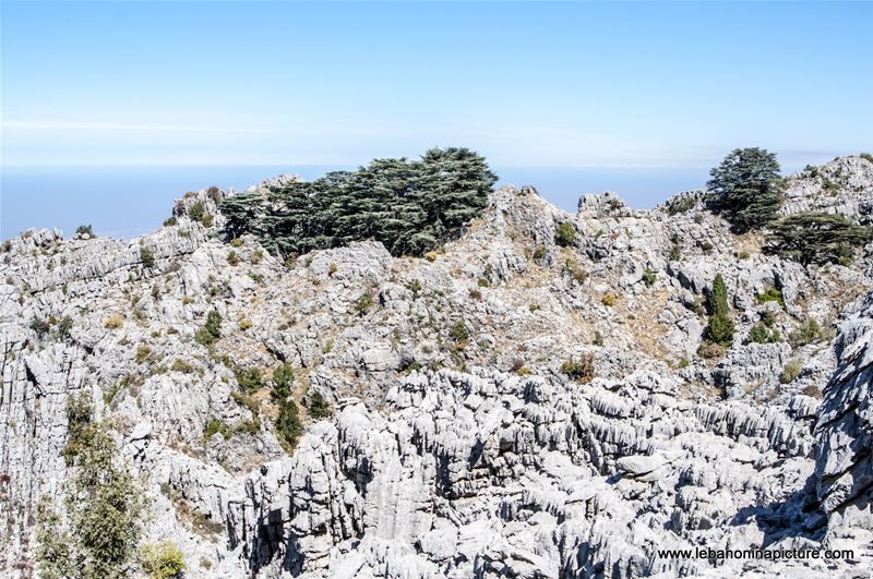 Video: Arz Jaj Hike - The Cedars of Jaj Hike