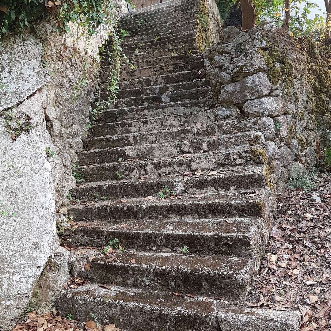 Vieux escaliers ... Secrets cachés...Des rendez vous râtés.. .Histoires d'a
