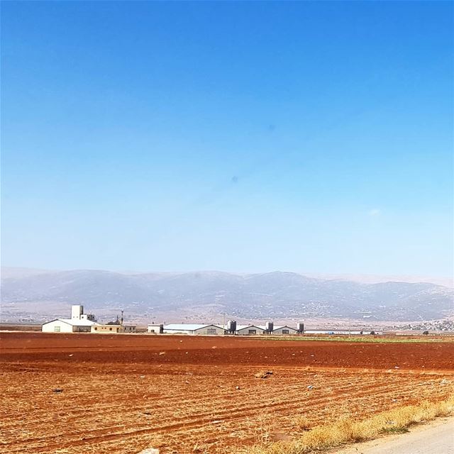 🇱🇧🇱🇧❤❤ view  farm  roadtrip  collectingmoments  amazinglebanon ... (Baalbek, Lebanon)