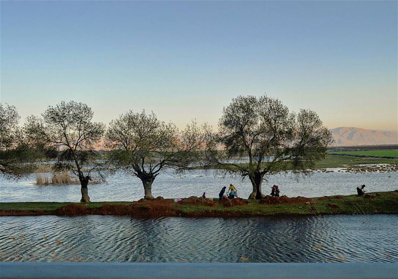 View from ammiq natural reserve bekaa familyday  familybonding  picknick ...