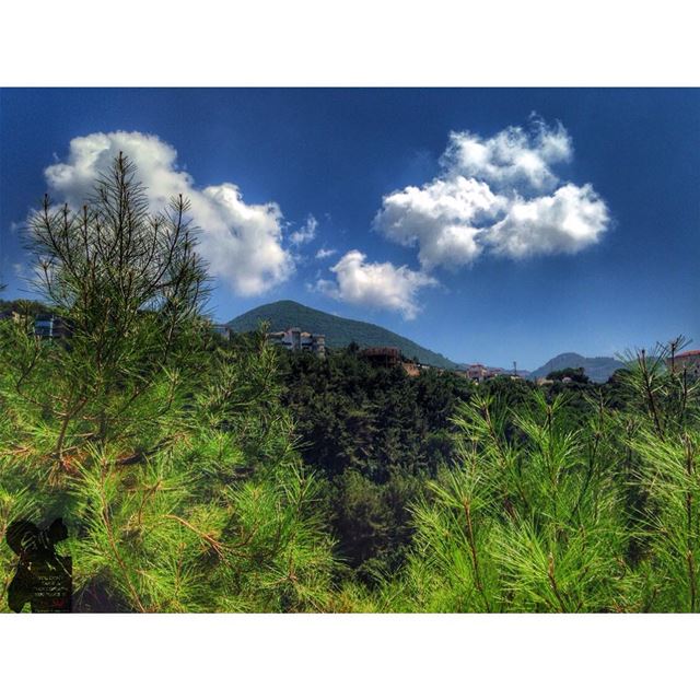 View from Ghazir!  ghazir  lebanon  liveloveghazir  photographer ...