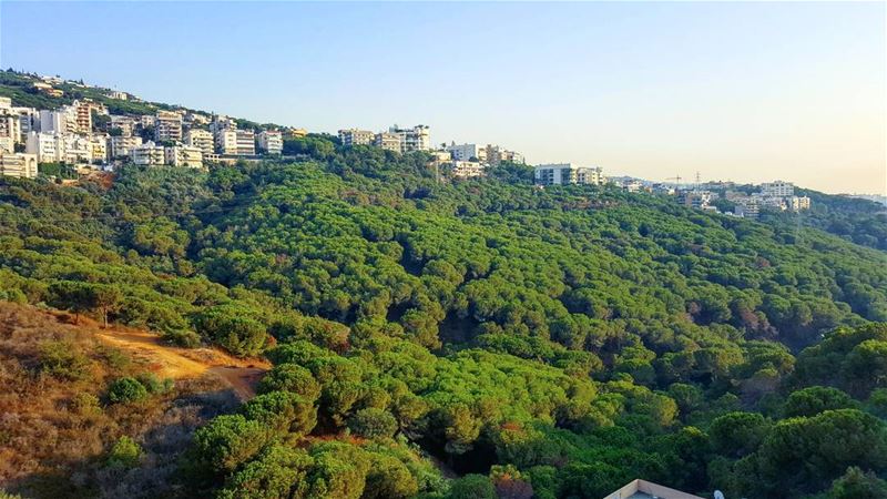 View from my new home FTW 🌲🌲🌲🌲🌲🌲🌲🌲  Lebanon  nature  pinetrees ...