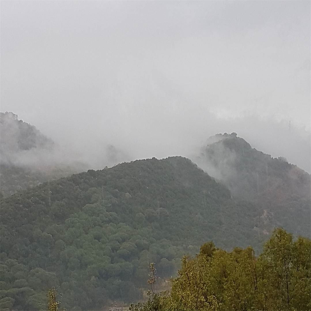View from my window⛈☈ home  foogy  freezing  mountains  lebanesemountain ...