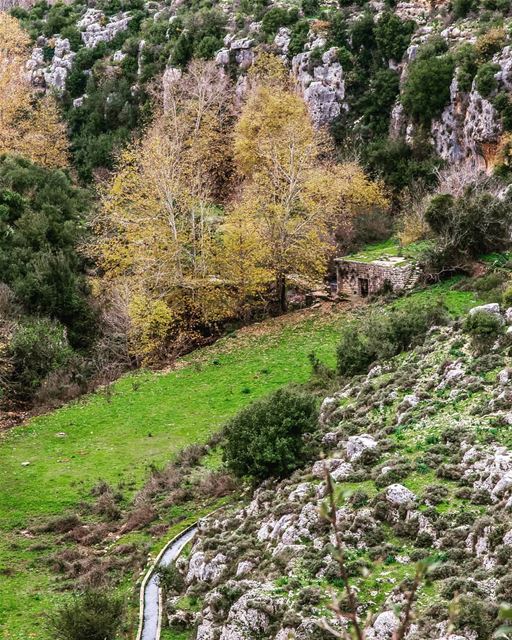 View from the topLocation : Nahr El Jawz, Lebanon  earthpix ... (Nahr el Jaouz)