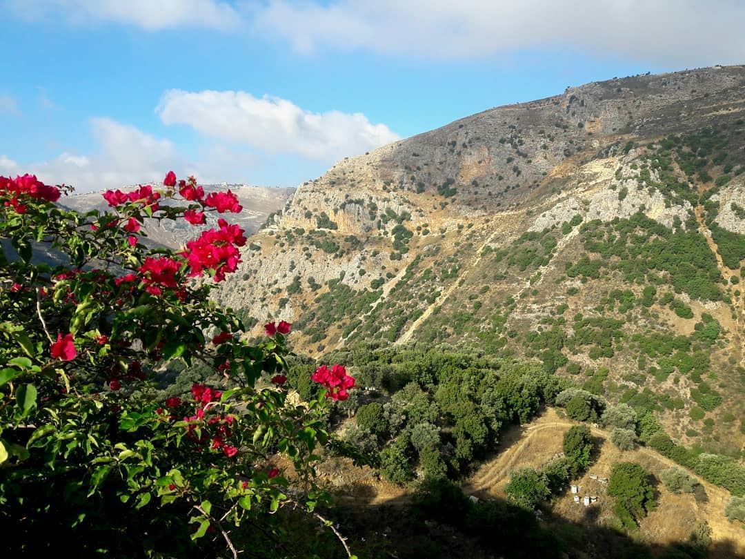 View from today Morning ❤💚🌹🌸 flowers  mountain  sky   blue  green ... (Deir Mimas)