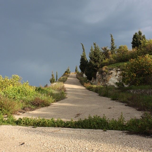  view  nature  trees  sky  road  southlebanon  myvillage  nofilter ...