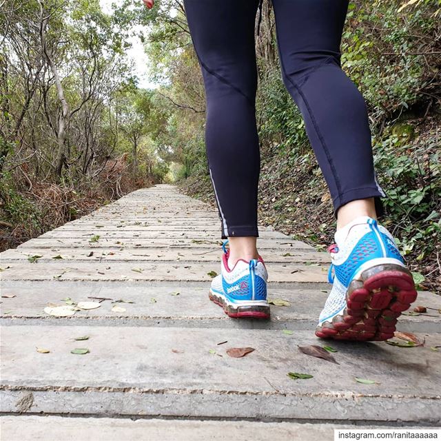 Vigorous walk on a sunny day  daghersportsportika  ptk_lebanon  bestofleb ... (Batroûn)