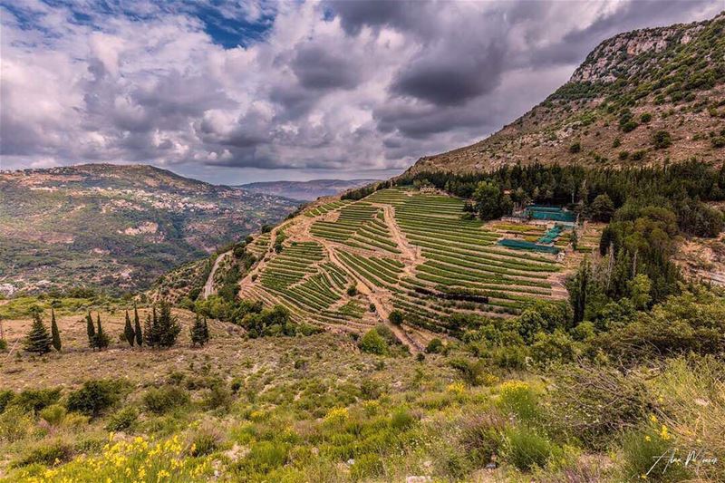  village  lebanon  canon  canonme  worldphotography  worldwide  nature ...