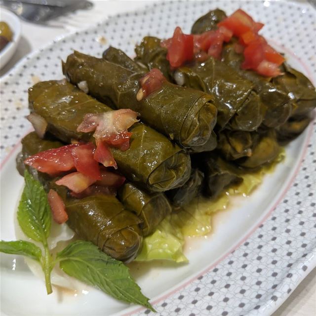  vineleaves  grapesleaves  food  iftar  ramadan  instafood  yummyfood ... (ABC Verdun)