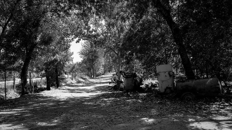 //💭⚫// vintage livelovelebanon beqaa black white old livelovebeqaa photo... (Deïr Taanâyel, Béqaa, Lebanon)