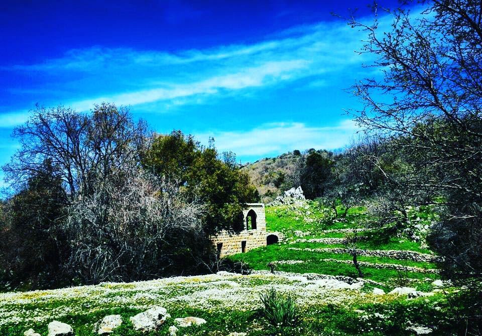Visit  JabalMoussa and  celebrate 'World Environment Day' all this week!...