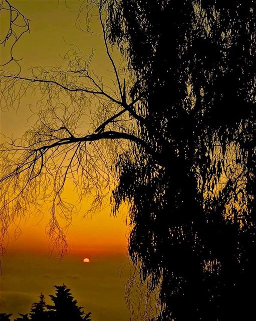  visitlebanon  photography  travel  travelphotography  sunset  sunset🌅 ... (Mountain Home, Aley Lebanon)