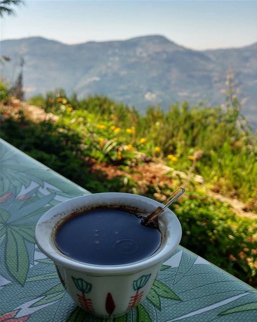 Vistas. Valleys, mountains, cliffs, forests, sea, snow, plains, breeze and... (Chouf)