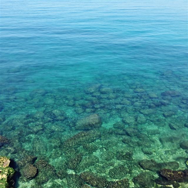 Vitamin Sea 🌊 (Sidon Sea Castle)