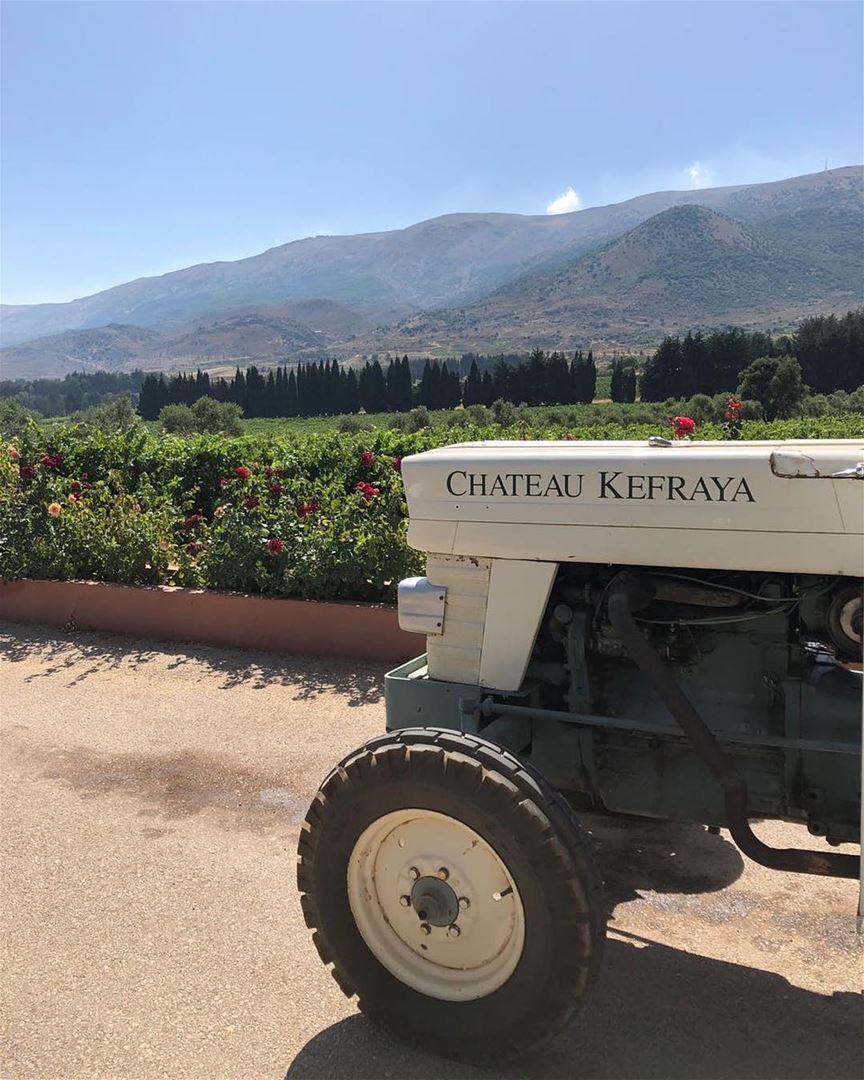 Você sabia que é possível agendar um passeio de trenzinho pelas vinícolas... (Château Kefraya)