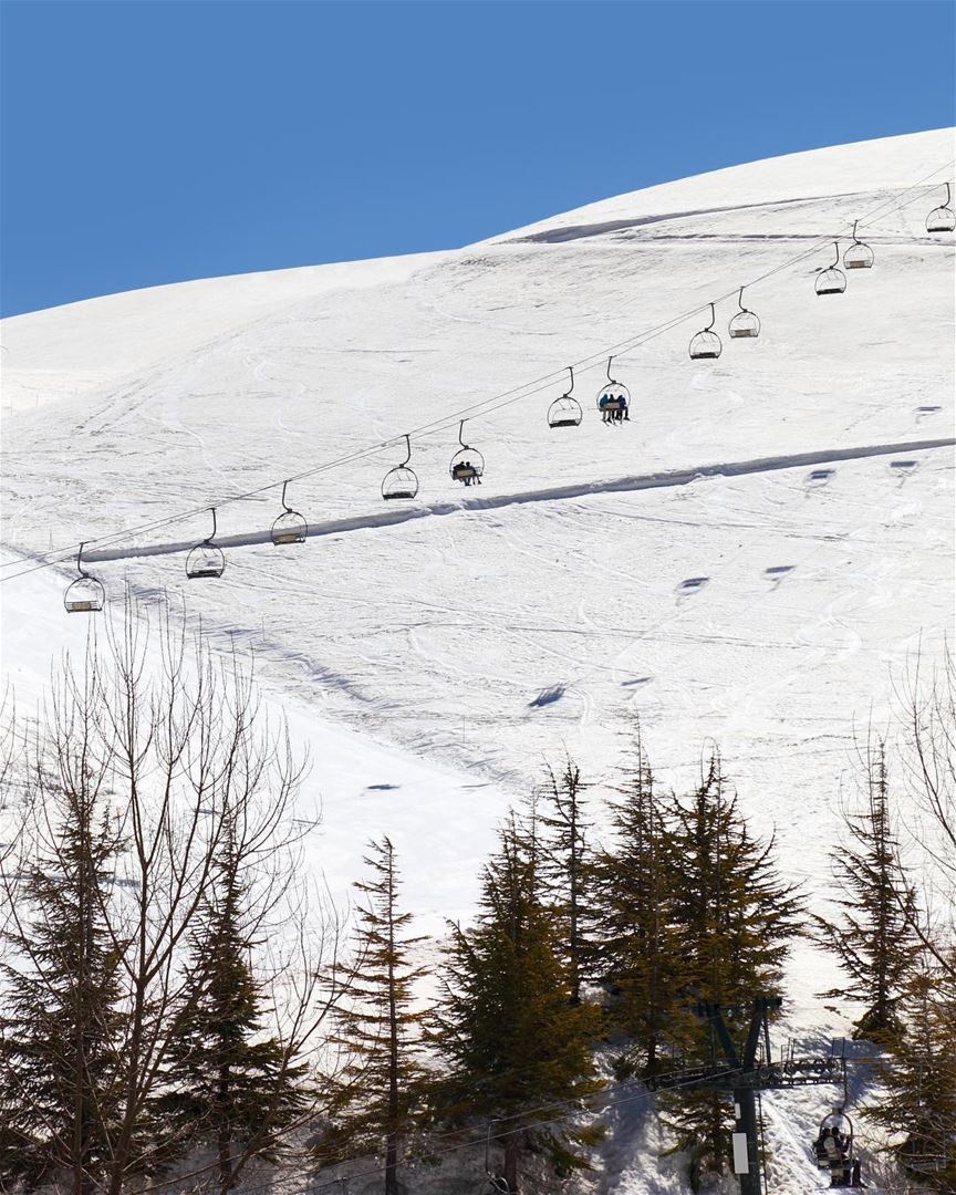 Você sabia que no inverno do Líbano (dezembro a março), você pode esquiar... (Mzaar Kfardebian)