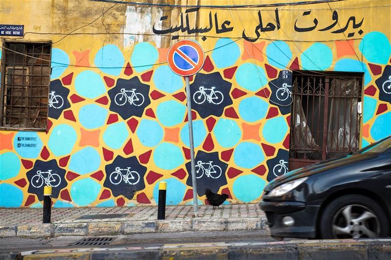 W Europie mozna spotkac na ulicy kota albo psa, w Libanie kure 🐓🇱🇧🙌🏼 ... (Beirut, Lebanon)