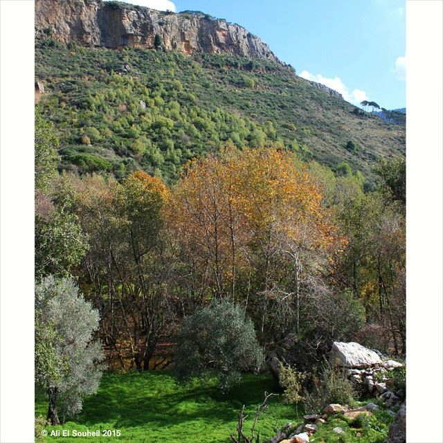 Wadi besri  valley  mountain  nature  colorful  amazing  green  sky ... (Besri, Chouf)