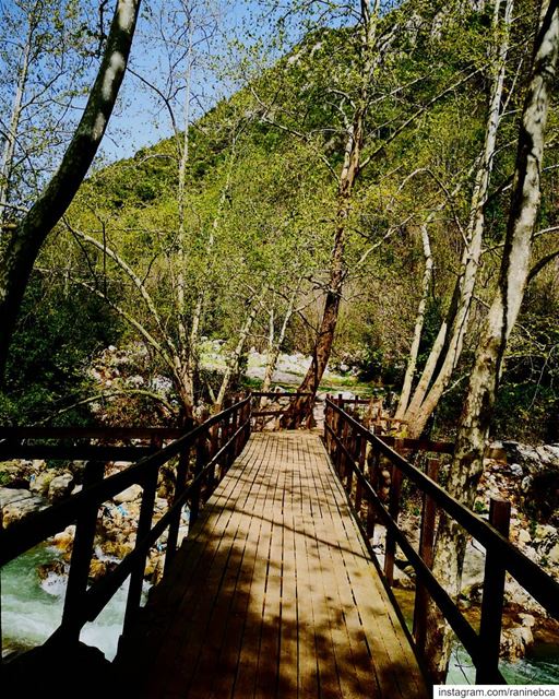 Wadi El Salib 🛤️ (Kfardebian, Mont-Liban, Lebanon)