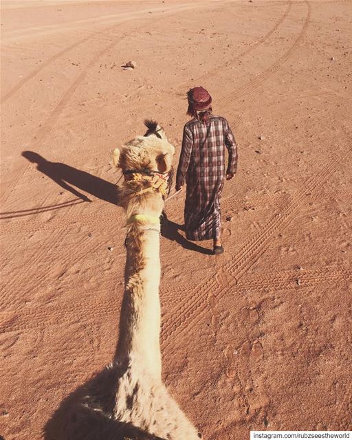 Wadi Rum, Jordan: the most stylish ride into town. rubzseestheworld...... (Wadi Rum Bedouin Camp)