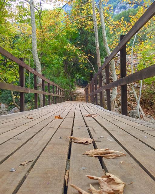  wadialsalib  bridge  woodworking  livelovelebanon  livelovebeirut ... (Lebanon)