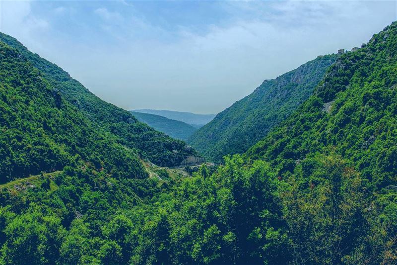  wadialsalib  kfardebian  lebanon   hikingday  hiking  greatplace  🌲 ... (وادي الصليب)